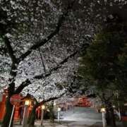 ヒメ日記 2025/04/02 18:02 投稿 ゆき 人妻小旅行