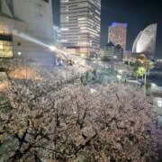 ヒメ日記 2025/04/10 23:32 投稿 ゆき 人妻小旅行