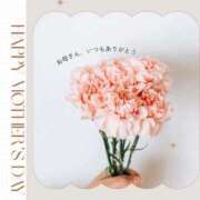 ヒメ日記 2025/05/11 01:52 投稿 ゆき 人妻小旅行