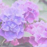 ヒメ日記 2025/06/04 00:12 投稿 ゆき 人妻小旅行