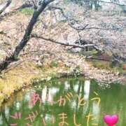 ゆき ありがとうございました🌸 人妻小旅行