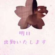 ヒメ日記 2026/04/11 15:35 投稿 ゆき 人妻小旅行