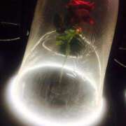 ヒメ日記 2025/04/23 21:06 投稿 あみ ぽちゃらん神栖店