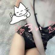 ヒメ日記 2025/04/19 16:00 投稿 ろい 品川ミセスアロマ（ユメオト）