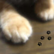 ヒメ日記 2025/02/22 01:34 投稿 澤村 MadameRest(マダムレスト)