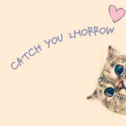 ヒメ日記 2025/03/06 21:18 投稿 澤村 MadameRest(マダムレスト)