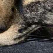 ヒメ日記 2025/03/27 10:50 投稿 澤村 MadameRest(マダムレスト)