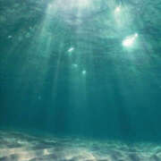 ヒメ日記 2025/05/15 11:32 投稿 澤村 MadameRest(マダムレスト)