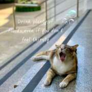 ヒメ日記 2025/07/24 13:46 投稿 澤村 MadameRest(マダムレスト)