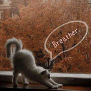 ヒメ日記 2025/09/14 12:57 投稿 澤村 MadameRest(マダムレスト)