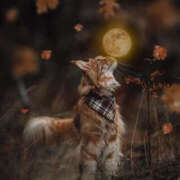 ヒメ日記 2025/10/06 10:04 投稿 澤村 MadameRest(マダムレスト)