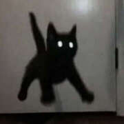 ヒメ日記 2025/10/16 11:24 投稿 澤村 MadameRest(マダムレスト)