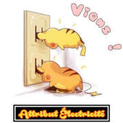 ヒメ日記 2025/11/30 12:29 投稿 澤村 MadameRest(マダムレスト)