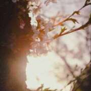 ヒメ日記 2026/03/22 12:53 投稿 澤村 MadameRest(マダムレスト)