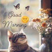 ヒメ日記 2026/04/12 09:46 投稿 澤村 MadameRest(マダムレスト)