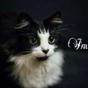 ヒメ日記 2026/04/28 17:25 投稿 澤村 MadameRest(マダムレスト)