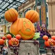 ヒメ日記 2025/09/20 09:20 投稿 いろは 川崎・蒲田おかあさん