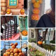 ヒメ日記 2025/10/22 22:20 投稿 いろは 川崎・蒲田おかあさん