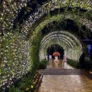 ヒメ日記 2025/12/20 21:50 投稿 いろは 川崎・蒲田おかあさん