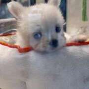 ヒメ日記 2025/08/09 16:50 投稿 きみこ 川崎・蒲田おかあさん