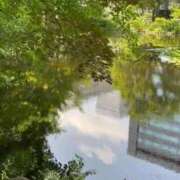 ヒメ日記 2025/09/13 12:20 投稿 きみこ 川崎・蒲田おかあさん