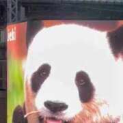 ヒメ日記 2025/09/18 12:30 投稿 きみこ 川崎・蒲田おかあさん