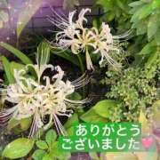 ヒメ日記 2025/10/02 10:50 投稿 きみこ 川崎・蒲田おかあさん