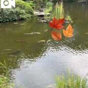 ヒメ日記 2025/10/18 15:00 投稿 きみこ 川崎・蒲田おかあさん