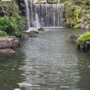 ヒメ日記 2025/10/23 14:03 投稿 きみこ 川崎・蒲田おかあさん