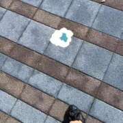 ヒメ日記 2025/11/13 14:50 投稿 きみこ 川崎・蒲田おかあさん