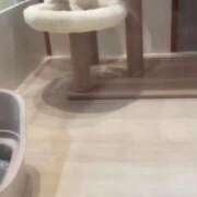 ヒメ日記 2025/11/22 12:20 投稿 きみこ 川崎・蒲田おかあさん