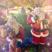 ヒメ日記 2025/12/20 15:30 投稿 きみこ 川崎・蒲田おかあさん