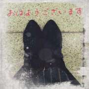 ヒメ日記 2025/03/31 10:50 投稿 しおん 川崎・蒲田おかあさん