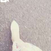 ヒメ日記 2025/08/17 11:50 投稿 しおん 川崎・蒲田おかあさん