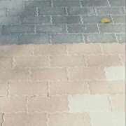 ヒメ日記 2025/10/02 11:50 投稿 しおん 川崎・蒲田おかあさん