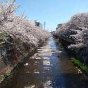 ヒメ日記 2025/04/10 12:50 投稿 すみれ 川崎・蒲田おかあさん