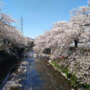 ヒメ日記 2025/04/12 09:52 投稿 すみれ 川崎・蒲田おかあさん