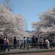 ヒメ日記 2025/04/13 12:30 投稿 すみれ 川崎・蒲田おかあさん