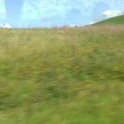 ヒメ日記 2025/08/02 18:00 投稿 すみれ 川崎・蒲田おかあさん