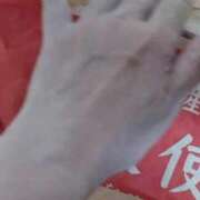 ヒメ日記 2025/10/06 14:22 投稿 すみれ 川崎・蒲田おかあさん