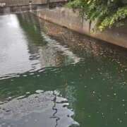 ヒメ日記 2025/10/13 14:50 投稿 すみれ 川崎・蒲田おかあさん