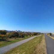 ヒメ日記 2025/11/20 21:30 投稿 すみれ 川崎・蒲田おかあさん