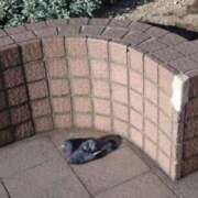 ヒメ日記 2025/12/18 16:10 投稿 すみれ 川崎・蒲田おかあさん