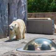 ヒメ日記 2025/08/15 20:50 投稿 なつみ 川崎・蒲田おかあさん