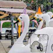 ヒメ日記 2025/10/21 18:50 投稿 なつみ 川崎・蒲田おかあさん