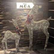 ヒメ日記 2025/12/04 22:51 投稿 なつみ 川崎・蒲田おかあさん