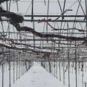 ヒメ日記 2026/01/03 10:30 投稿 なつみ 川崎・蒲田おかあさん