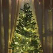 ヒメ日記 2025/12/12 23:40 投稿 なな 川崎・蒲田おかあさん