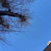 ヒメ日記 2026/01/12 08:40 投稿 なな 川崎・蒲田おかあさん