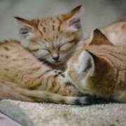 ヒメ日記 2025/03/08 09:50 投稿 のん 川崎・蒲田おかあさん